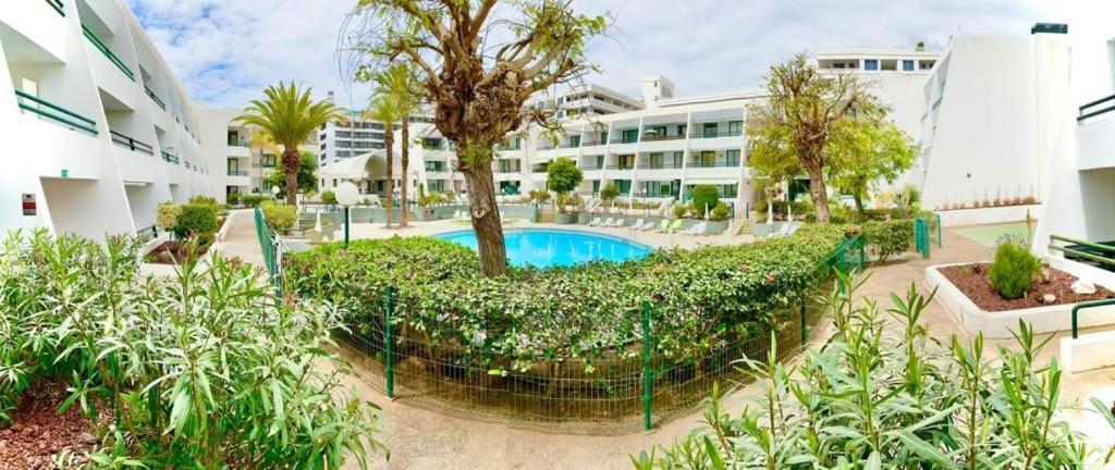 Optimist Playa De Las Americas Apartment Екстериор снимка